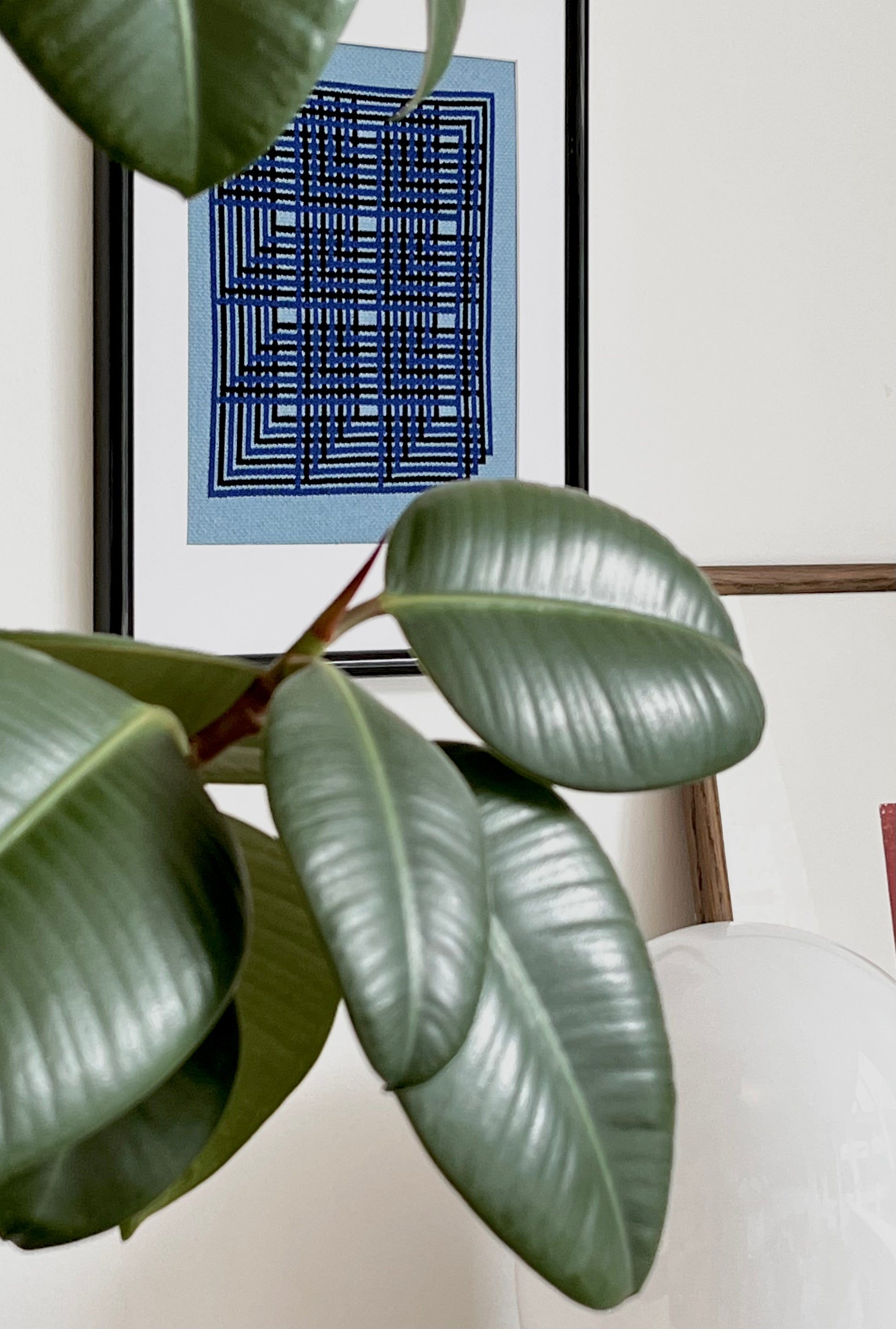 Fiddle leaf fig plant with abstract art in the background